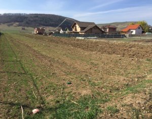 Terrain à vendre dans Floresti