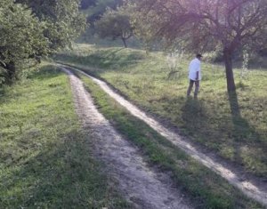 , 3000m2 on Floresti