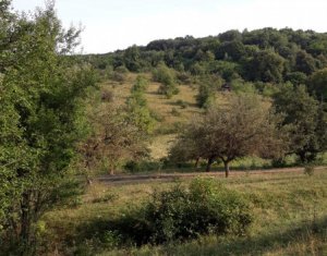 Telek eladó on Floresti