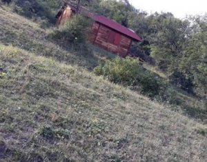 Telek eladó on Floresti