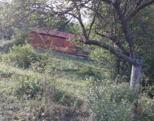 Telek eladó on Floresti