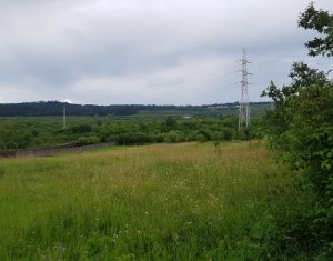 , 2541m2 on Cluj-napoca, Zóna Buna Ziua