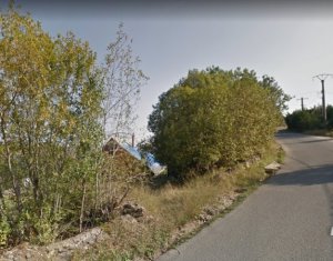 , 600m2 on Muntele Baisorii