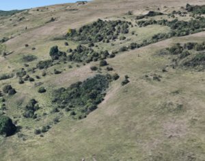 , 2800m2 on Floresti