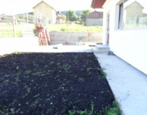 Ház 7 szobák eladó on Chinteni