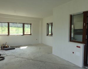 Ház 7 szobák eladó on Chinteni