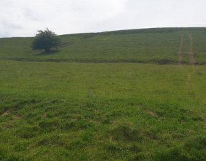 Telek eladó on Cluj-napoca, Zóna Faget