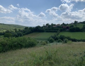 Telek eladó on Feleacu