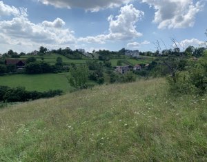 Telek eladó on Feleacu