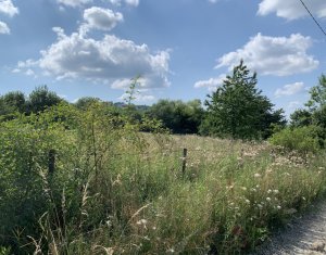 Telek eladó on Cluj-napoca