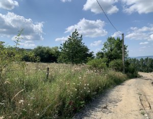 Telek eladó on Cluj-napoca