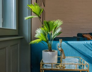 Lakás 3 szobák kiadó on Cluj-napoca, Zóna Centru