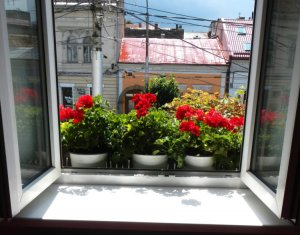 Lakás 1 szobák kiadó on Cluj-napoca, Zóna Centru