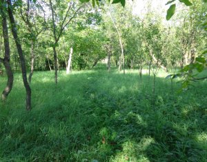 Ház 6 szobák eladó on Chinteni