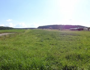 , 2900m2 on Chinteni