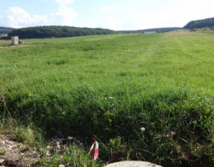 Telek eladó on Chinteni