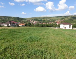 Telek eladó on Chinteni