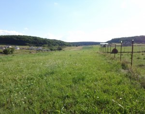 , 2901m2 on Chinteni