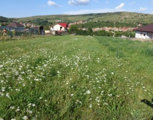 Telek eladó on Chinteni