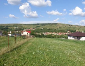 Telek eladó on Chinteni