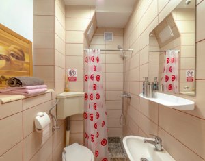 Lakás 1 szobák kiadó on Cluj-napoca, Zóna Centru