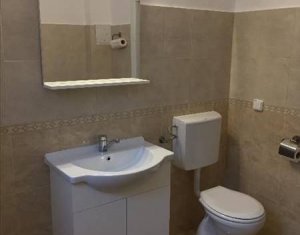 Maison 4 chambres à louer dans Cluj-napoca, zone Someseni