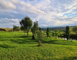 , 1217m2 on Popesti, Zóna Centru