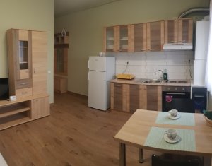 Lakás 1 szobák kiadó on Cluj-napoca, Zóna Iris