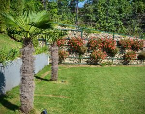 Ház 6 szobák eladó on Cluj-napoca, Zóna Iris