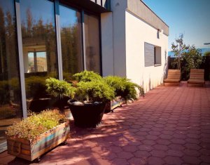 Ház 6 szobák eladó on Cluj-napoca, Zóna Iris