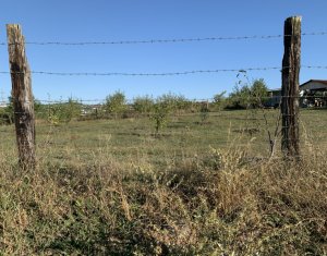 Telek eladó on Cluj-napoca, Zóna Borhanci