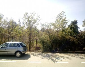 Telek eladó on Dezmir