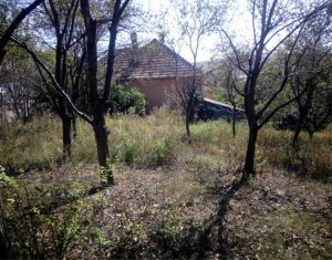 Telek eladó on Dezmir