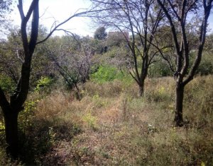 Telek eladó on Dezmir