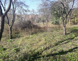 Telek eladó on Dezmir