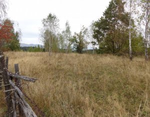 Telek eladó on Calatele