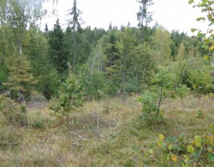 Telek eladó on Calatele