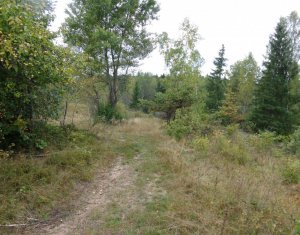 Telek eladó on Calatele