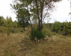 Telek eladó on Calatele