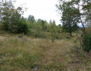 Telek eladó on Calatele