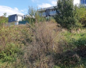 , 1000m2 on Cluj-napoca, Zóna Borhanci