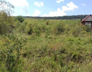 Telek eladó on Cluj-napoca, Zóna Iris