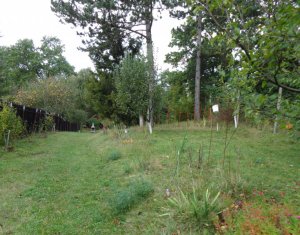 Telek eladó on Cluj-napoca, Zóna Faget