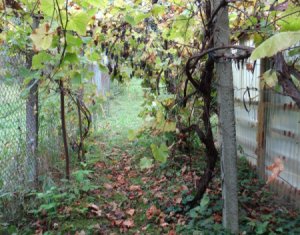 Telek eladó on Cluj-napoca, Zóna Faget