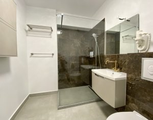 Lakás 2 szobák kiadó on Cluj-napoca, Zóna Centru