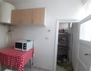 Appartement 1 chambres à louer dans Cluj-napoca, zone Centru
