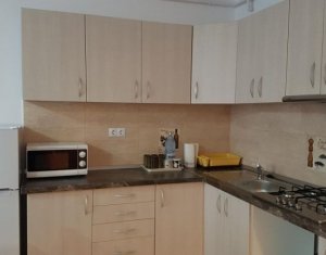 Lakás 1 szobák kiadó on Cluj-napoca, Zóna Andrei Muresanu