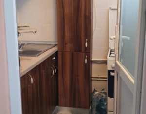 Studio à louer dans Cluj-napoca, zone Marasti