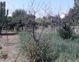 Ház 2 szobák eladó on Cluj-napoca, Zóna Dambul Rotund