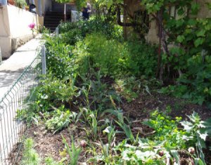 Telek eladó on Cluj-napoca, Zóna Andrei Muresanu